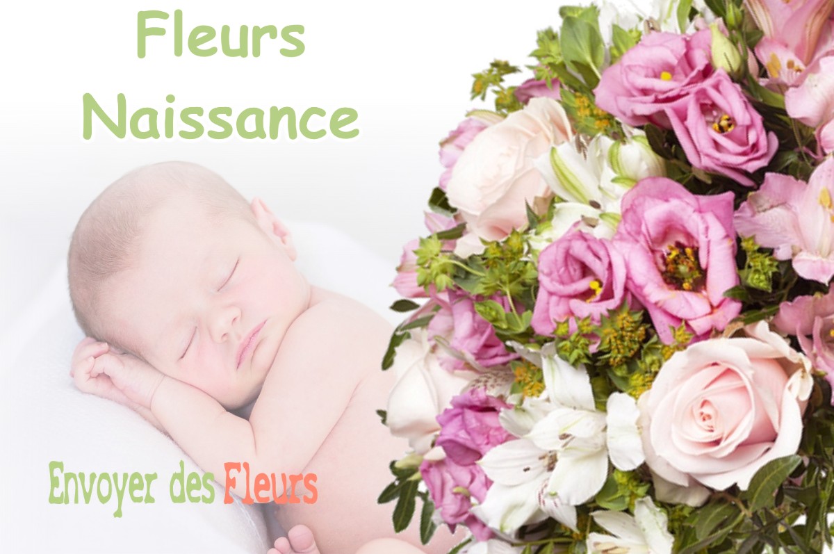 lIVRAISON FLEURS NAISSANCE à SAINT-BERTRAND-DE-COMMINGES